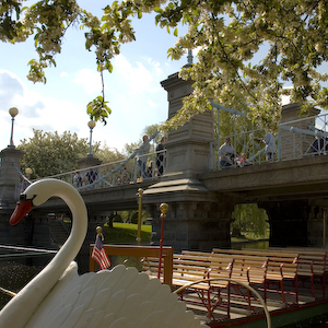 39-BAC 1X1-Public Garden footbridge
